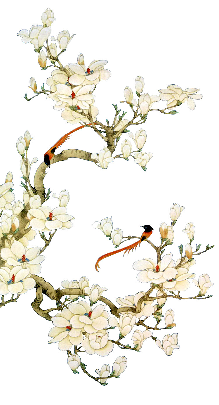 中国风白色花鸟装饰素材