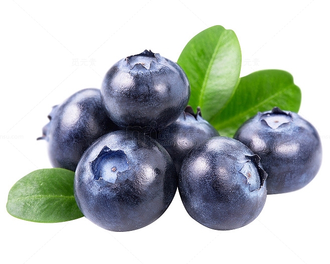 高清水果蓝莓