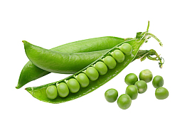 绿色蔬菜豆荚