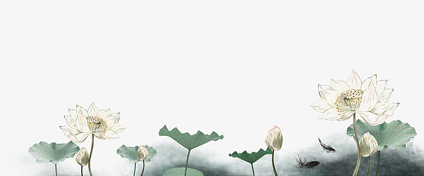 水墨画国画荷花