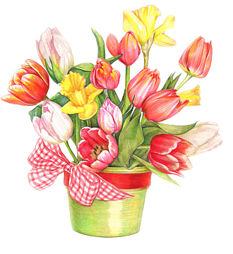 png黄色花盆郁金香jpg两色郁金香aipng小清新花朵郁金香矢量元素aipng