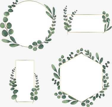 小清新绿色植物几何边框合集