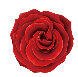 大红花喜庆表彰元素