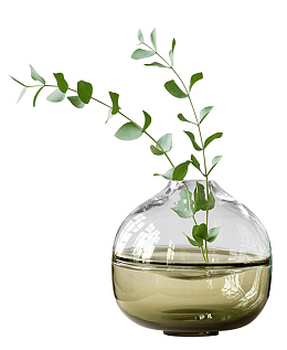 水培植物尤加利