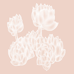 图案设计彩印花边A133