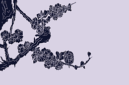 图案设计彩印花边A89