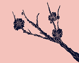 图案设计彩印花边A93