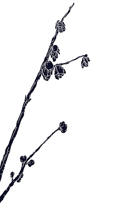 图案设计彩印花边A96