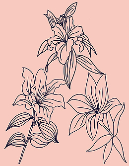 图案设计彩印花边A99