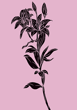 图案设计彩印花边A103