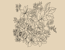 图案设计彩印花边A108