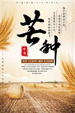 二十四节气芒种的海报