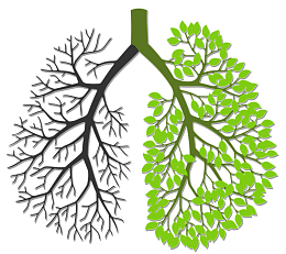请勿吸烟 关爱肺健康