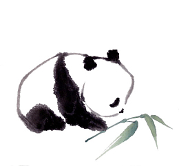小国宝熊猫宝宝