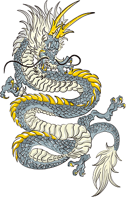 小龙插画板绘