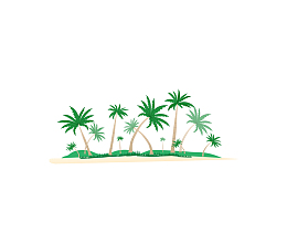 海岛椰林椰子树