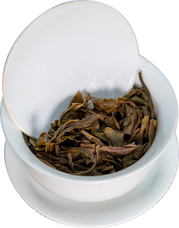 生茶茶汤叶底元素