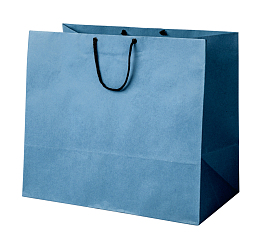 蓝色手提纸袋
