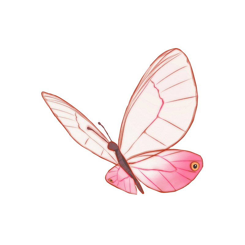 粉红色的小蝴蝶