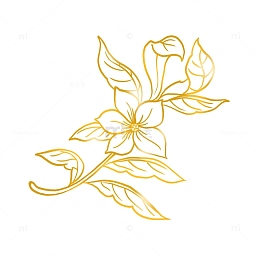金色纹样花卉