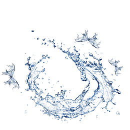 蝴蝶水花迸溅