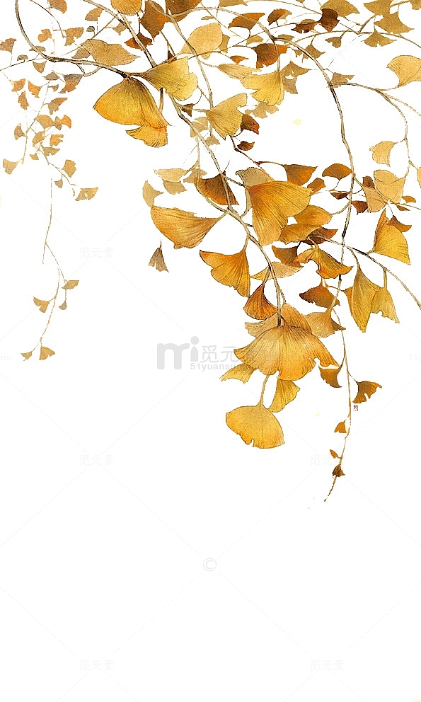 秋天的黄色银杏2