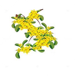 手绘中秋桂花插画元素