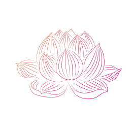 荷花线条彩色