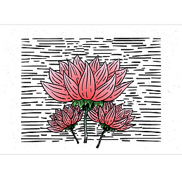 莲花手绘矢量