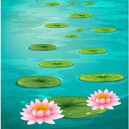 水中两朵荷花