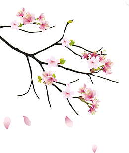 古风梅花素材