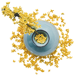 中秋装饰素材桂花