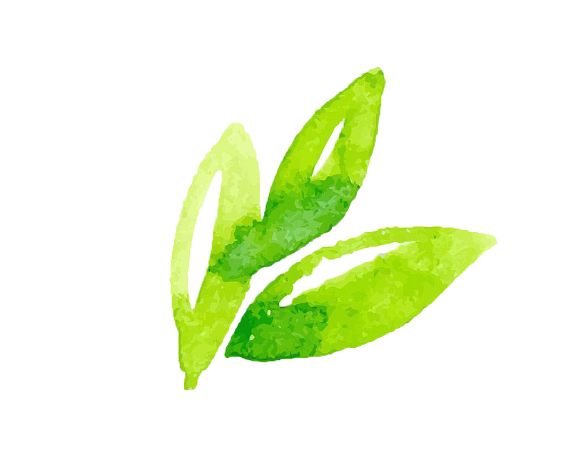 环保水彩小绿叶茶叶