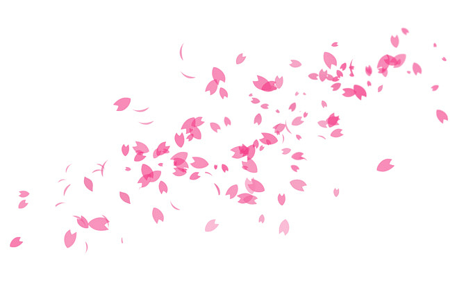 飞舞的桃花花瓣