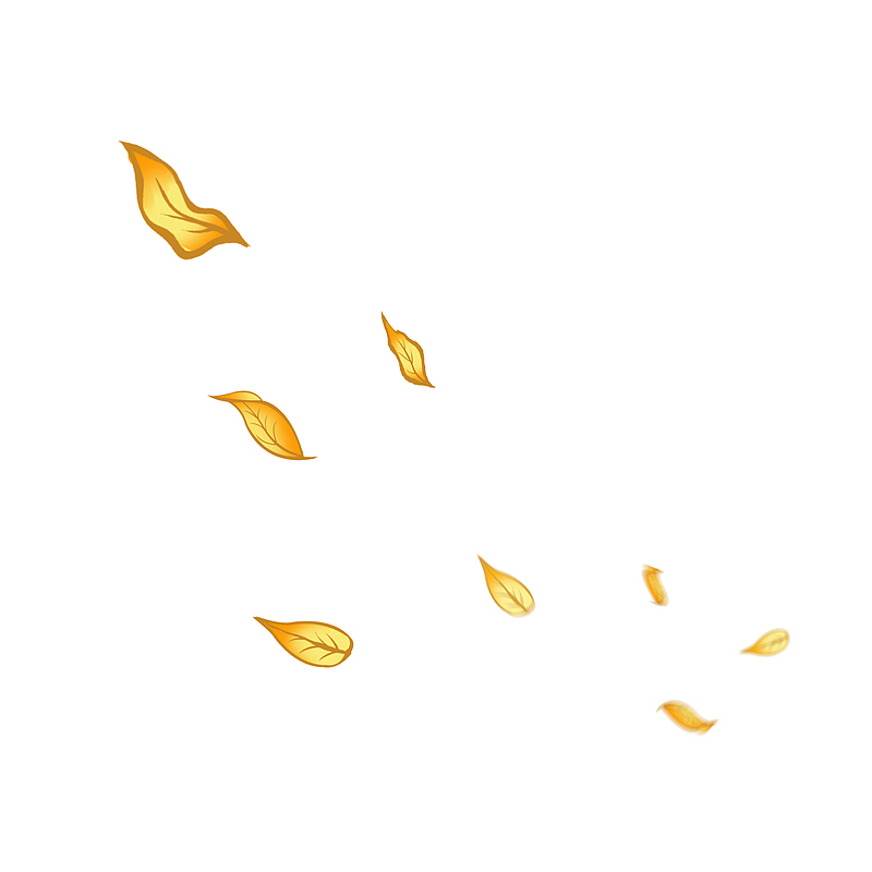秋天的黄色树叶3