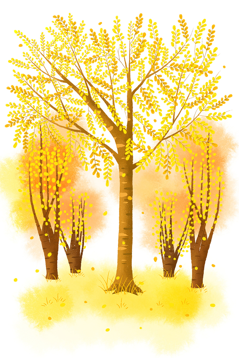 秋天的黄色树叶插画