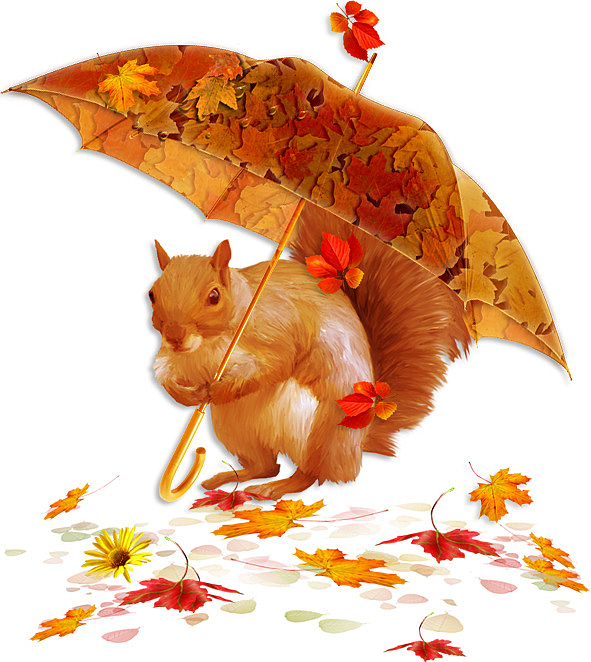 松鼠打着一把伞