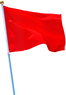 飘动的红旗 3