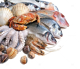 海鲜 鱼类PNG素材