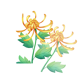 免扣唯美花朵菊花元素