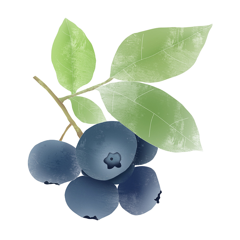 好吃的零食蓝莓水果元素