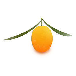 沙棘果实PNG免扣