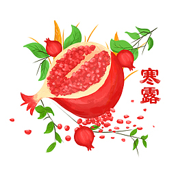 红石榴的元素
