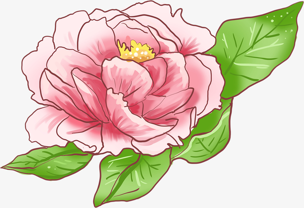 一朵盛开的花元素