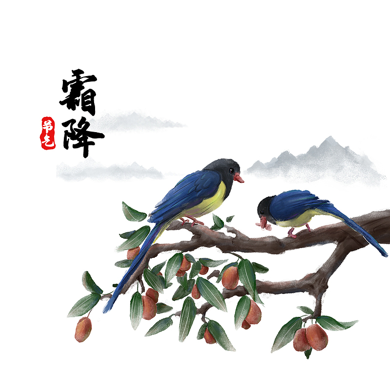 古风霜降红枣树和鸟素材