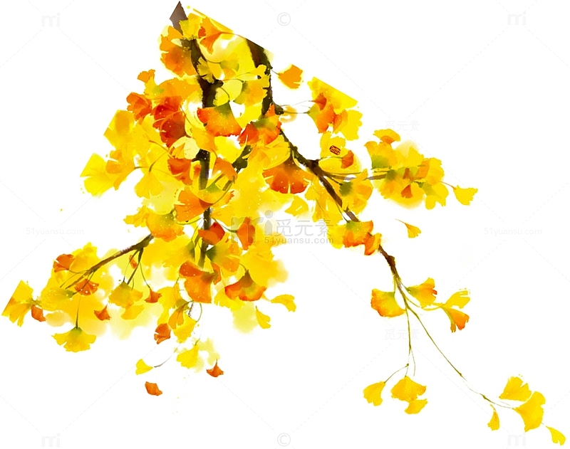枫叶黄色秋天