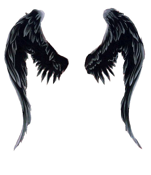 一双黑色的翅膀
