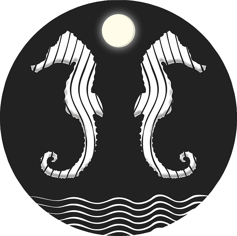 海马月亮海浪