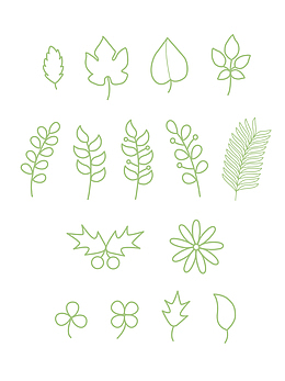 绿色植物简笔画