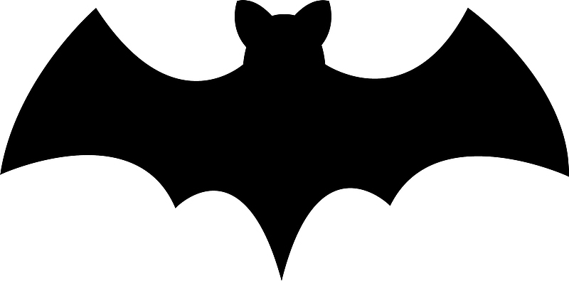 蝙蝠 蝙蝠侠 蝙蝠剪影